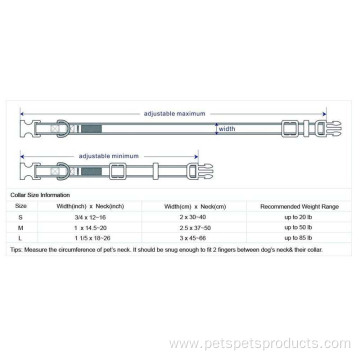 Adjustble Nylon Dog Collars Custom Training Dog Collar